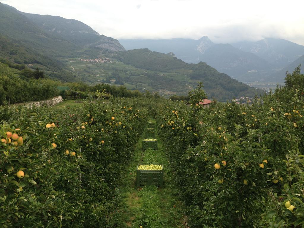 Agritur Le Pergole Hotel Villa Lagarina Luaran gambar