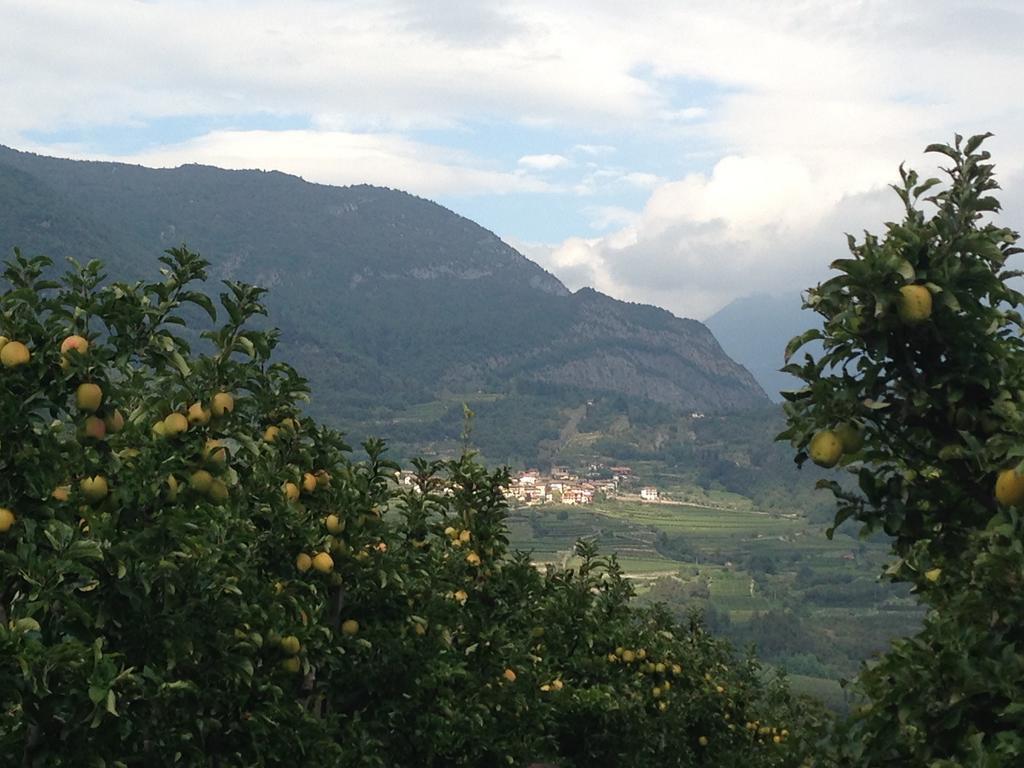 Agritur Le Pergole Hotel Villa Lagarina Luaran gambar