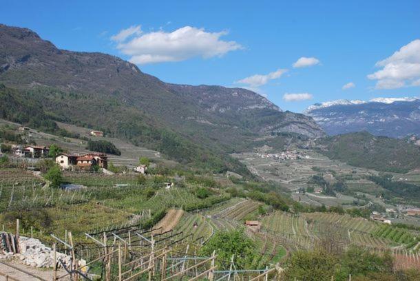 Agritur Le Pergole Hotel Villa Lagarina Luaran gambar