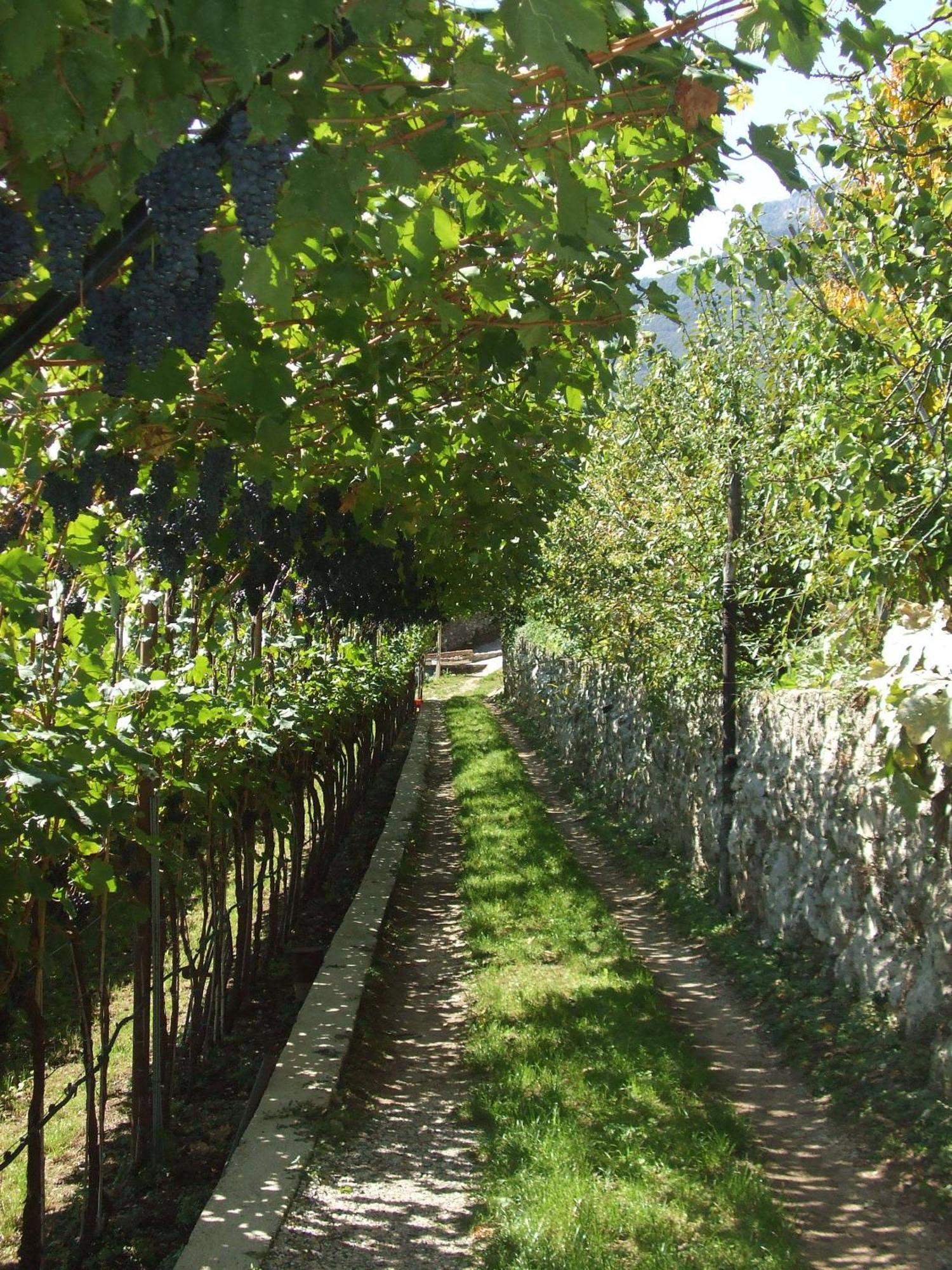 Agritur Le Pergole Hotel Villa Lagarina Luaran gambar
